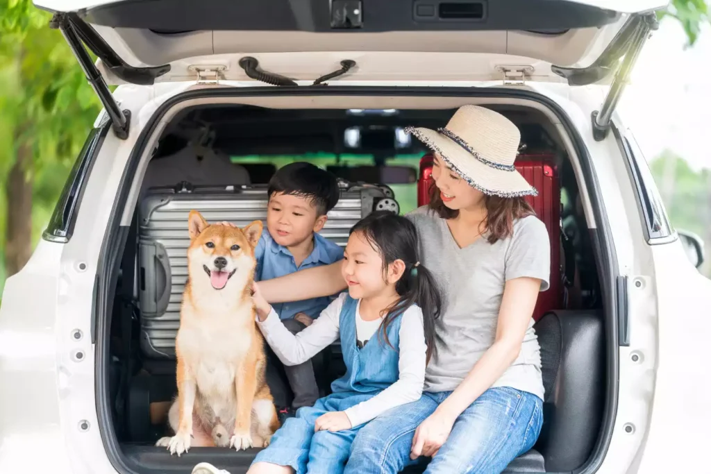Shiba Inu Dog Car Seat for GMC Acadia