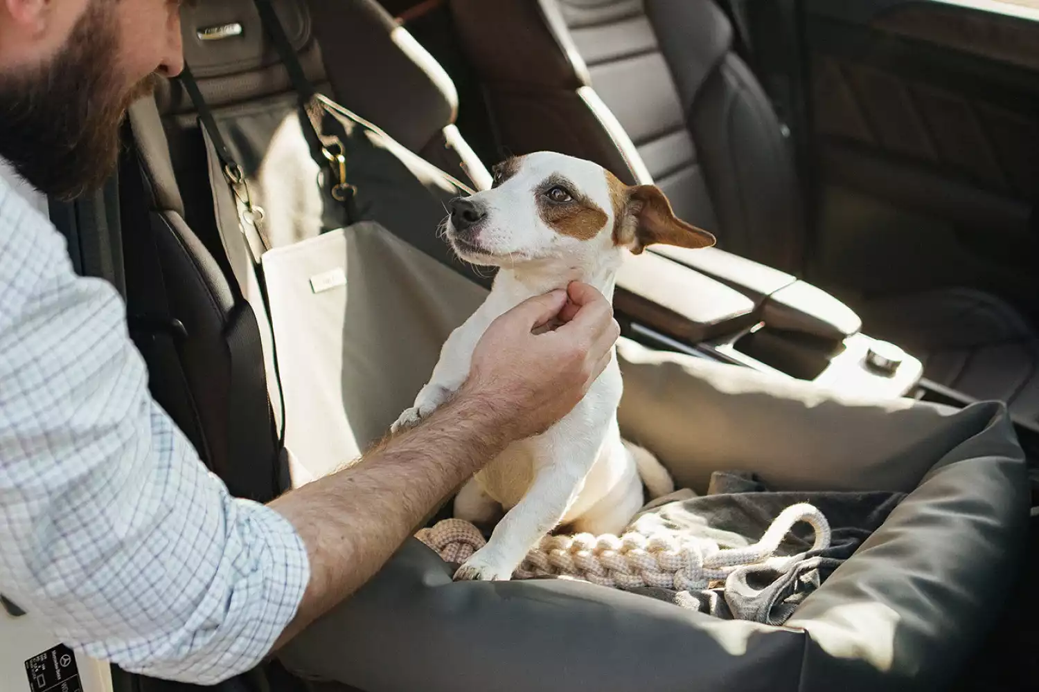 Shiba Inu Dog Car Seat for GMC Acadia
