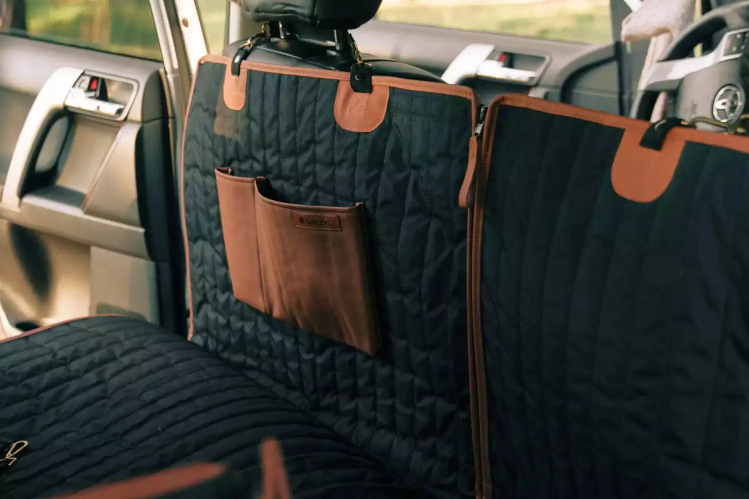 Kia Sorento back seat cover for Brussels Griffons
