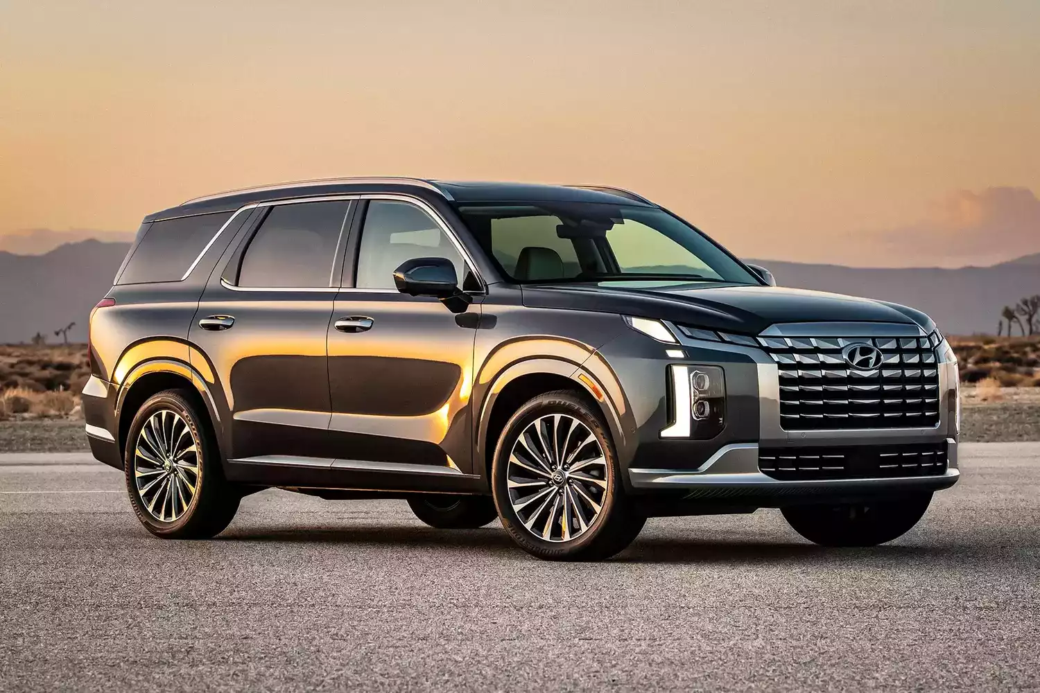 Hyundai Palisade car trash can