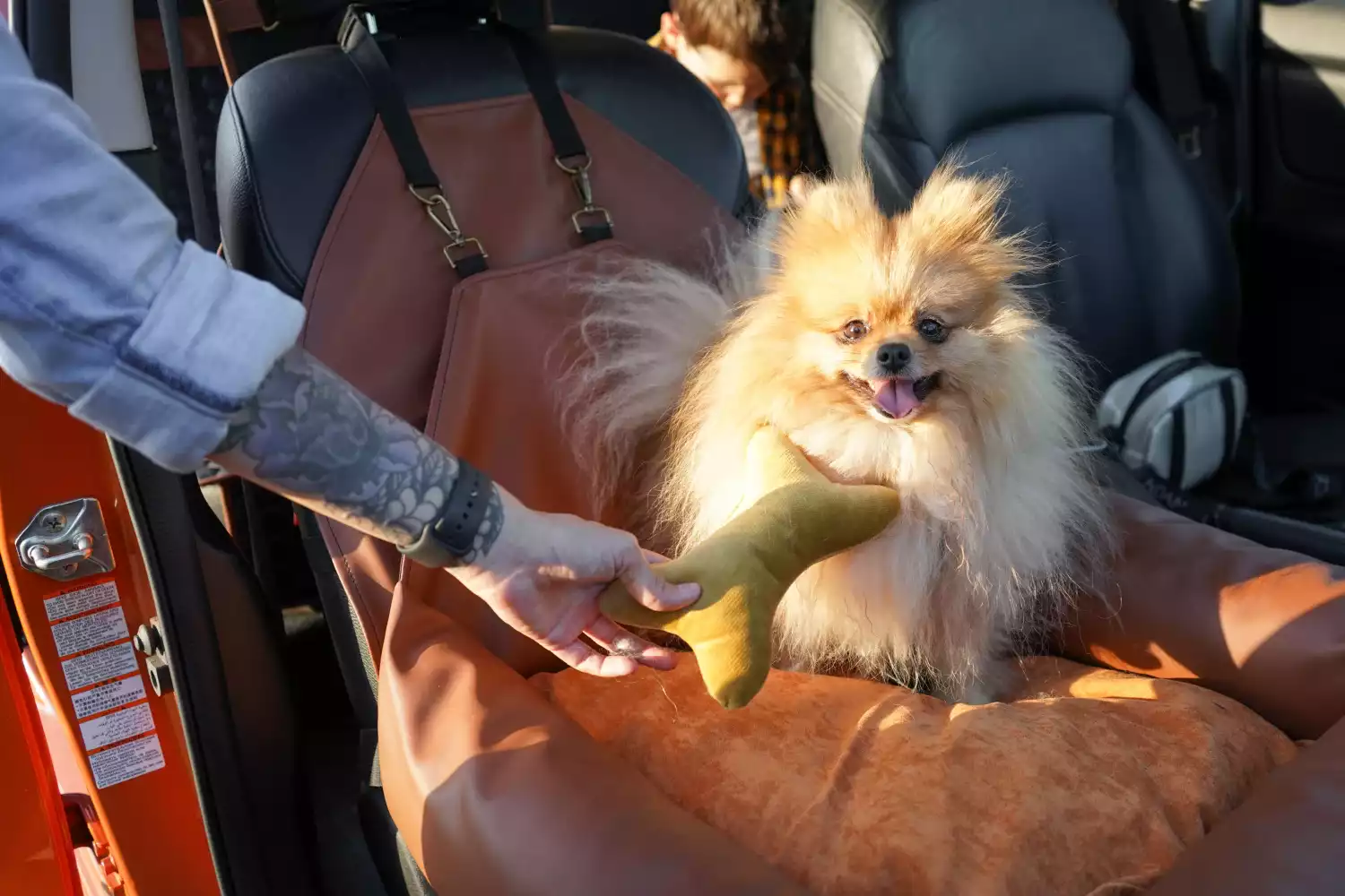 GMC Sierra Dog Car Seat for Tibetan Spaniels